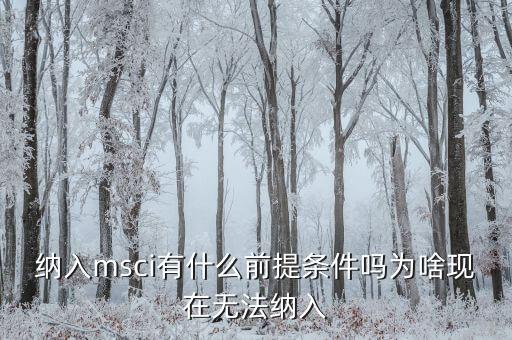 a股被國際什么組織拒絕加入，為什么MSCI指數(shù)拒絕納入中國A股