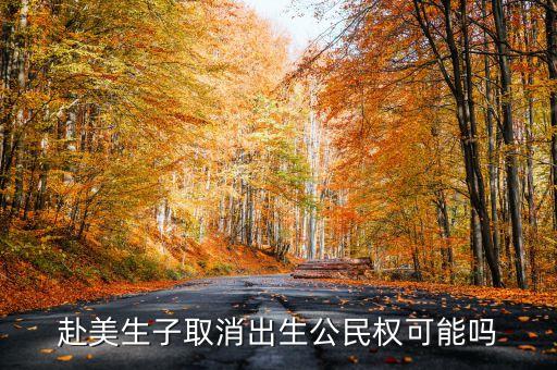 赴美生子取消出生公民權(quán)可能嗎
