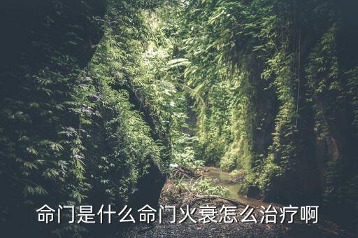 什么叫命門，中醫(yī)的命門是 什么意思呀