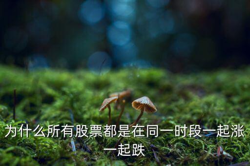 為什么股票一起漲跌，股票為什么會(huì)一起漲起跌