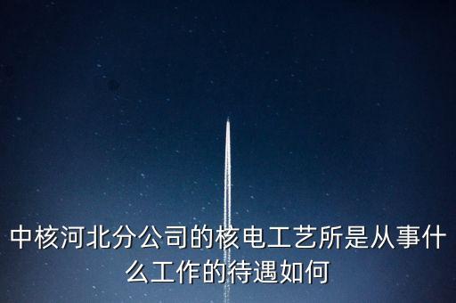 核電化工所主要干什么，中國核電工程有限公司河北分公司化工專業(yè)進(jìn)去做什么研究生畢