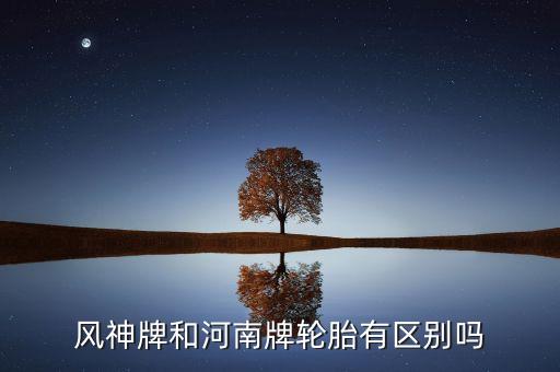 風(fēng)神牌和河南牌輪胎有區(qū)別嗎