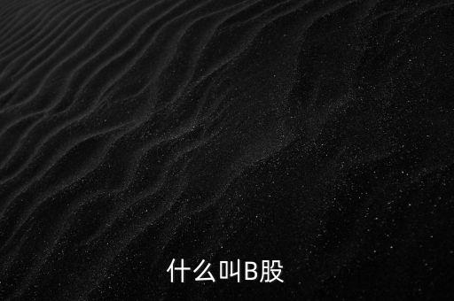 什么叫B股