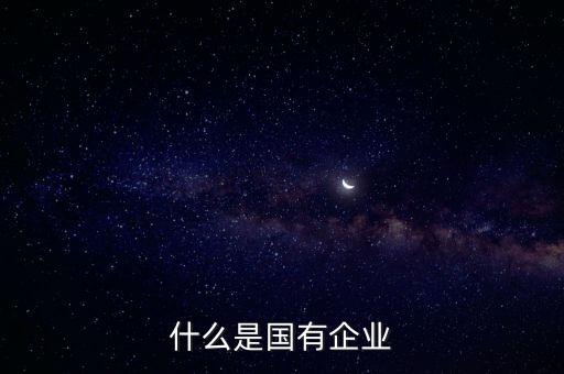 什么是國有企業(yè)