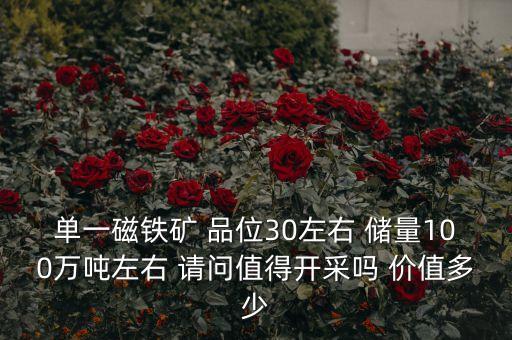 單一磁鐵礦 品位30左右 儲量100萬噸左右 請問值得開采嗎 價值多少
