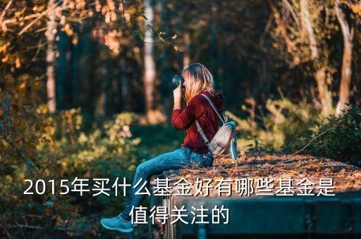 2015年買什么基金好有哪些基金是值得關(guān)注的