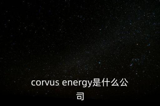 智慧松德是什么公司，corvus energy是什么公司