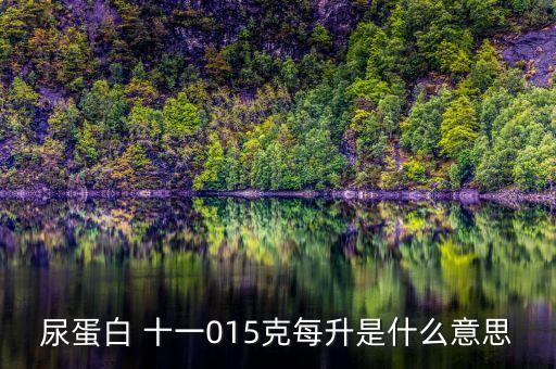 尿蛋白 十一015克每升是什么意思