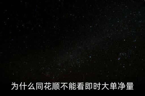 為什么同花順不能看即時(shí)大單凈量