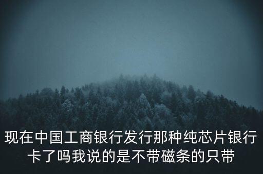 現(xiàn)在中國(guó)工商銀行發(fā)行那種純芯片銀行卡了嗎我說(shuō)的是不帶磁條的只帶