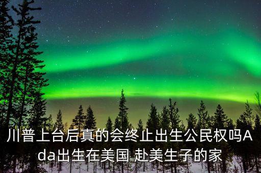什么時候廢除美國出生公民權，川普上臺后真的會終止出生公民權嗎Ada出生在美國 赴美生子的家