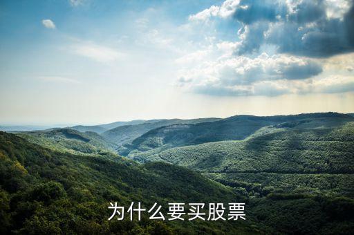 為什么要買(mǎi)股票