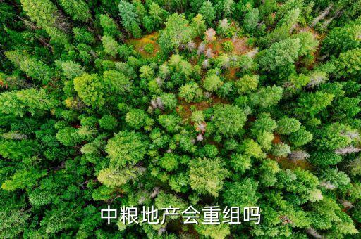 中糧地產(chǎn)會重組嗎