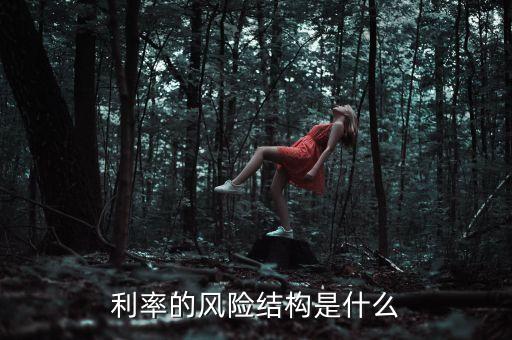 利率的風(fēng)險(xiǎn)結(jié)構(gòu)受什么影響，利率的風(fēng)險(xiǎn)結(jié)構(gòu)是什么