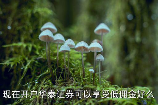 梧州華泰證券開戶有什么優(yōu)惠，華泰證券新辦股票開戶有什么優(yōu)惠嗎