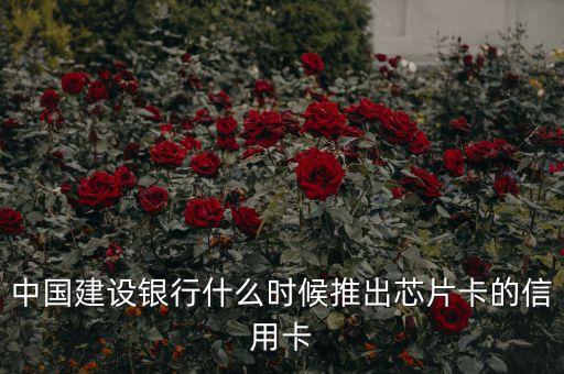 中國(guó)建設(shè)銀行什么時(shí)候推出芯片卡的信用卡