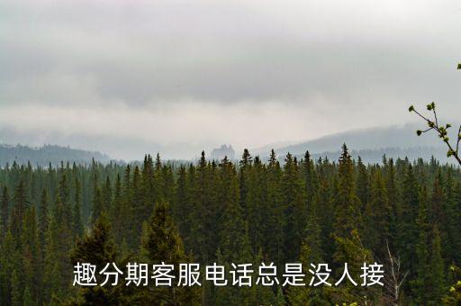 趣分期客服電話總是沒人接