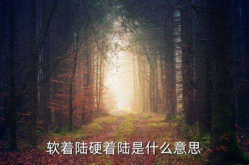 軟著陸硬著陸是什么意思