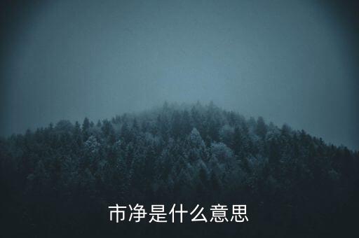 什么叫市凈率，什么是市凈率和市盈率