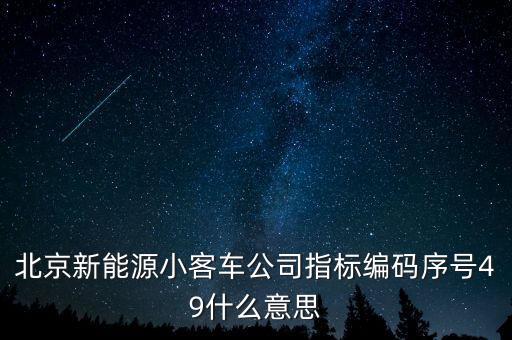 北京新能源小客車公司指標編碼序號49什么意思