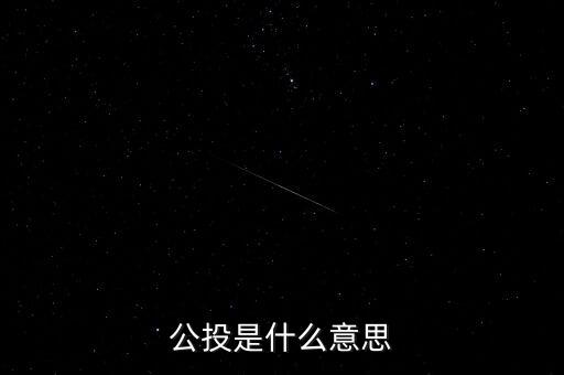 公投是什么意思