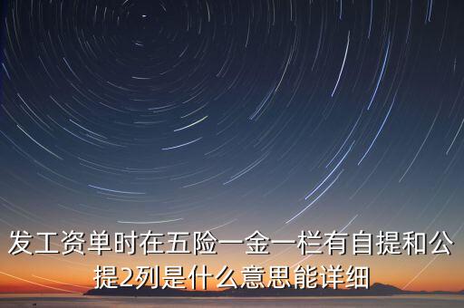 發(fā)工資單時(shí)在五險(xiǎn)一金一欄有自提和公提2列是什么意思能詳細(xì)