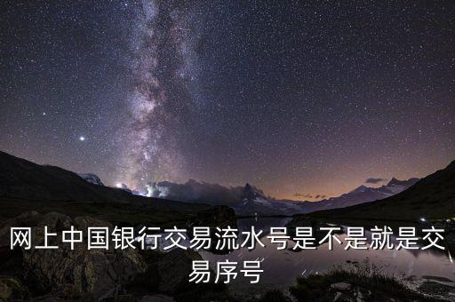 中國(guó)銀行企業(yè)網(wǎng)銀轉(zhuǎn)賬批次號(hào)什么意思，企業(yè)網(wǎng)銀客戶號(hào)是什么意思