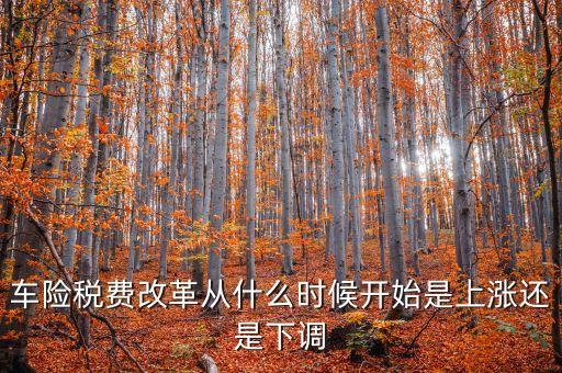 車險稅費改革從什么時候開始是上漲還是下調