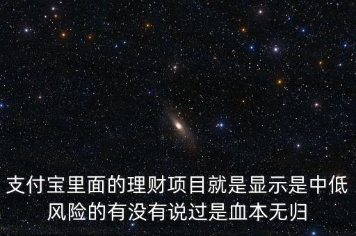 支付寶里面的理財(cái)項(xiàng)目就是顯示是中低風(fēng)險(xiǎn)的有沒有說(shuō)過(guò)是血本無(wú)歸