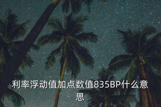 利率加點什么意思，貸款利率定價方式中加點幅度是什么意思