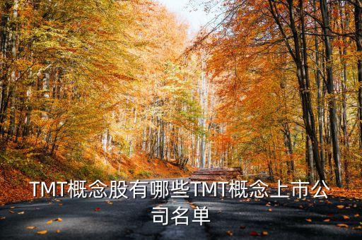 TMT概念股有哪些TMT概念上市公司名單
