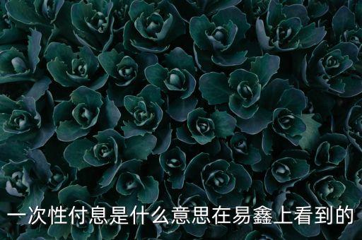 一次性付息是什么意思在易鑫上看到的