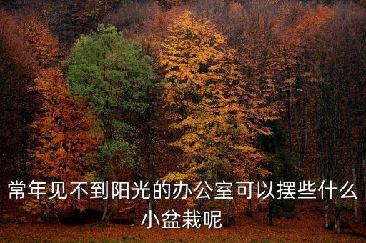 常年見不到陽光的辦公室可以擺些什么小盆栽呢