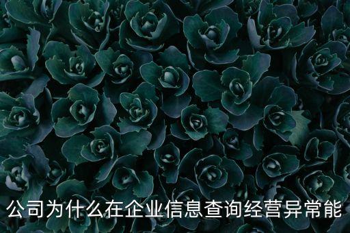 公司為什么在企業(yè)信息查詢經(jīng)營異常能