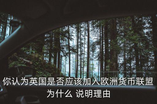 你認(rèn)為英國(guó)是否應(yīng)該加入歐洲貨幣聯(lián)盟為什么 說(shuō)明理由