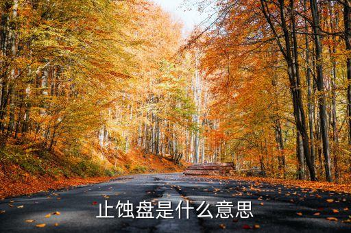 止損盤是什么意思，止損盤什么意思啊