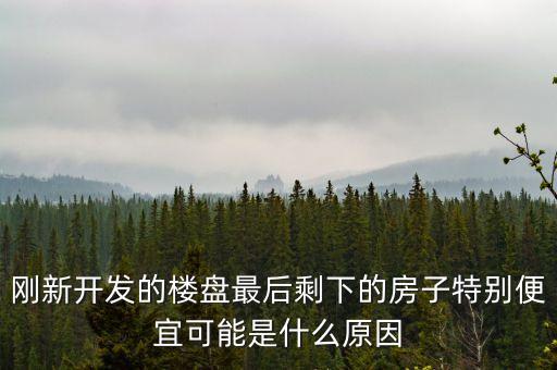 剛新開發(fā)的樓盤最后剩下的房子特別便宜可能是什么原因