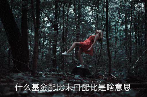 資金配比是什么意思，請問這個(gè)基金的配比是什么意思其他的也是股票嗎