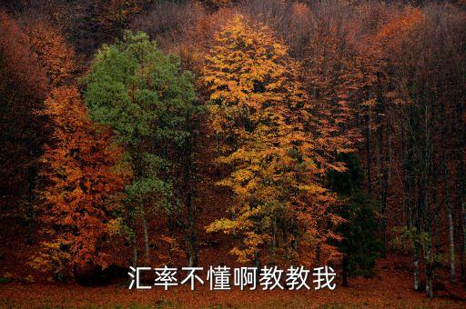 匯率高低是什么意思，有關(guān)匯率的知識