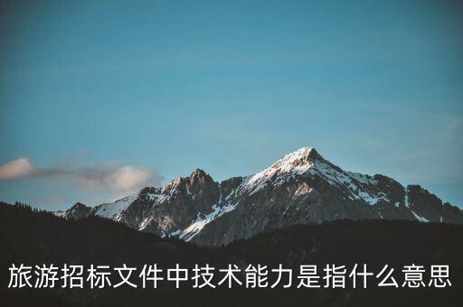 什么是工程技術(shù)能力及優(yōu)勢說明，什么是建筑工程技術(shù)