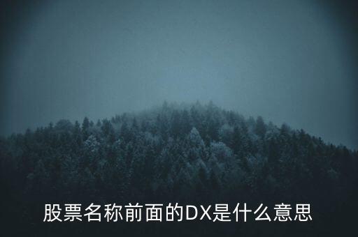 股票名稱前面的DX是什么意思