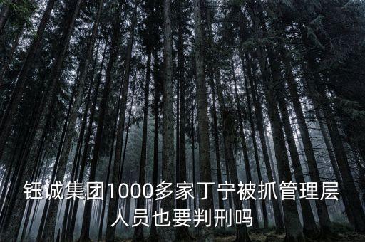 鈺誠丁寧什么背景，鈺誠集團(tuán)1000多家丁寧被抓管理層人員也要判刑嗎