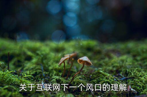 關(guān)于互聯(lián)網(wǎng)下一個風(fēng)口的理解