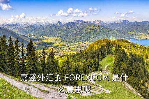forex是什么意思，嘉盛外匯的 FOREXCOM 是什么意思呢