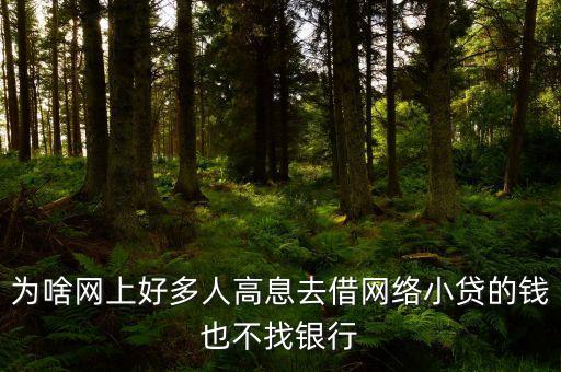 樊三星為什么要去小貸不在銀行，為什么貸款要在銀行交易