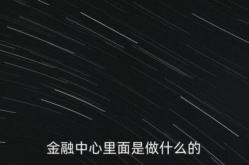金融中心里面是做什么的