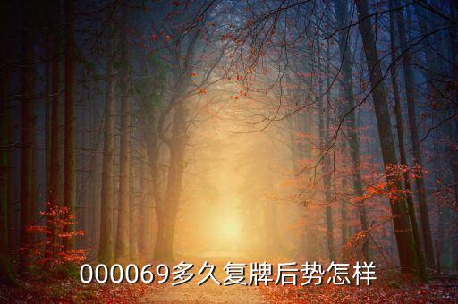 宏達(dá)礦業(yè)什么時候復(fù)牌，000560各位大神知道啥時候復(fù)牌