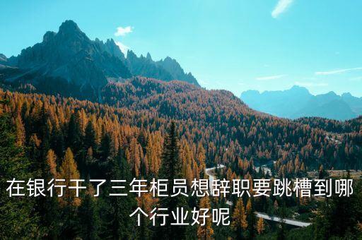 干了幾年銀行跳槽干什么好，在銀行干了三年柜員想辭職要跳槽到哪個(gè)行業(yè)好呢