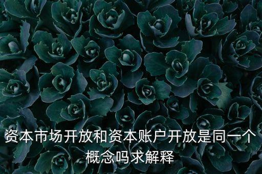 資本賬戶開放是什么意思，account opening是什么意思