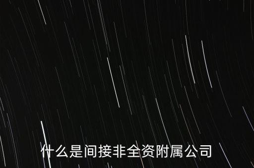 什么是全資附屬公司，什么叫全資附屬機(jī)構(gòu)
